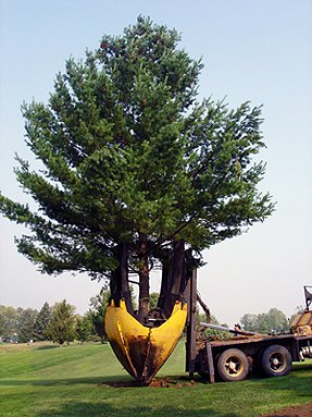Крупномеры Greensad на Вашем участке
